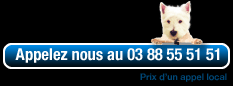 Sport Auto 67 - Appelez-nous au 03 88 55 51 51